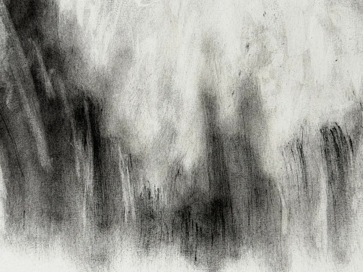 Abstract charcoal powder texture study made with a hog’s hair brush.